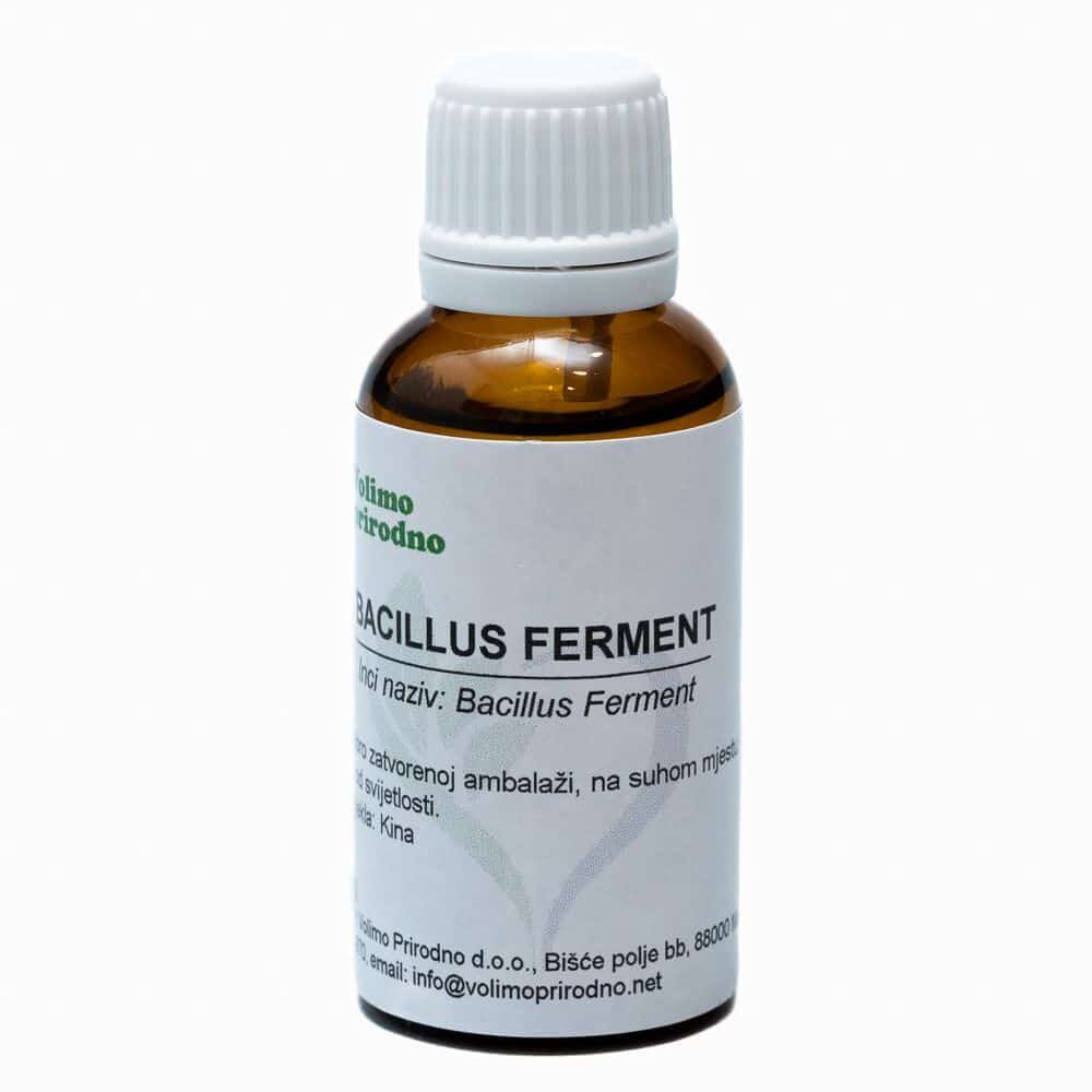 bacillus ferment