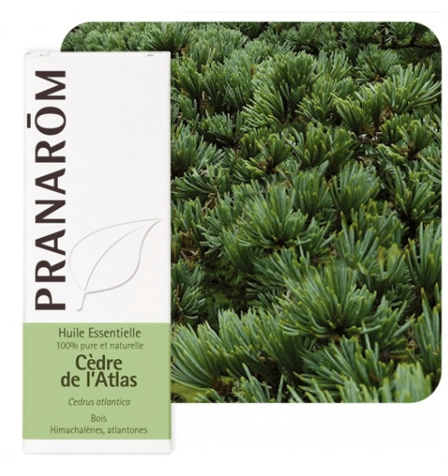 Eterično ulje Cedar Atlaski (Cedrus atlantica) PRANAROM 10ml