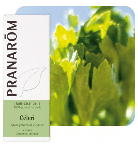 Celer eterično ulje Pranarom