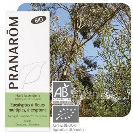 Eterično ulje Eukaliptus Polibraktea Ecocert(Eucalyptus polybractea ct. crypton)