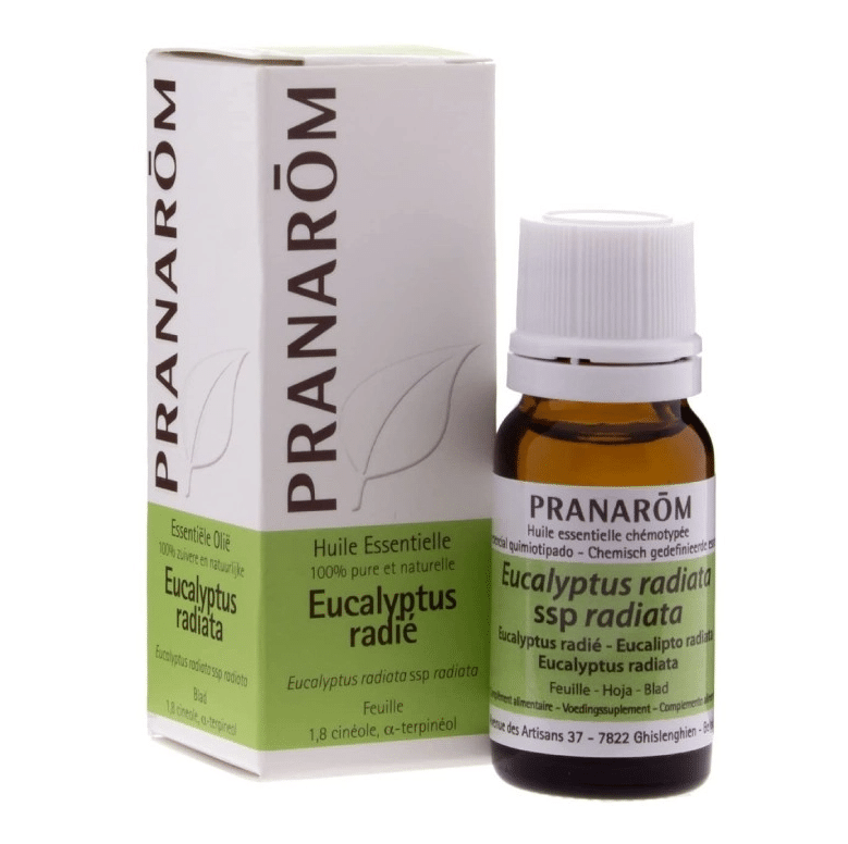 eterično ulje eukaliptus radiata