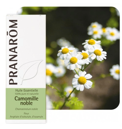 Kamilica rimska eterično ulje (Chamaemelum nobile L.) PRANAROM 5ml