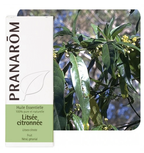 Eterično ulje Licea (Litsea citrata) PRANAROM 10ml