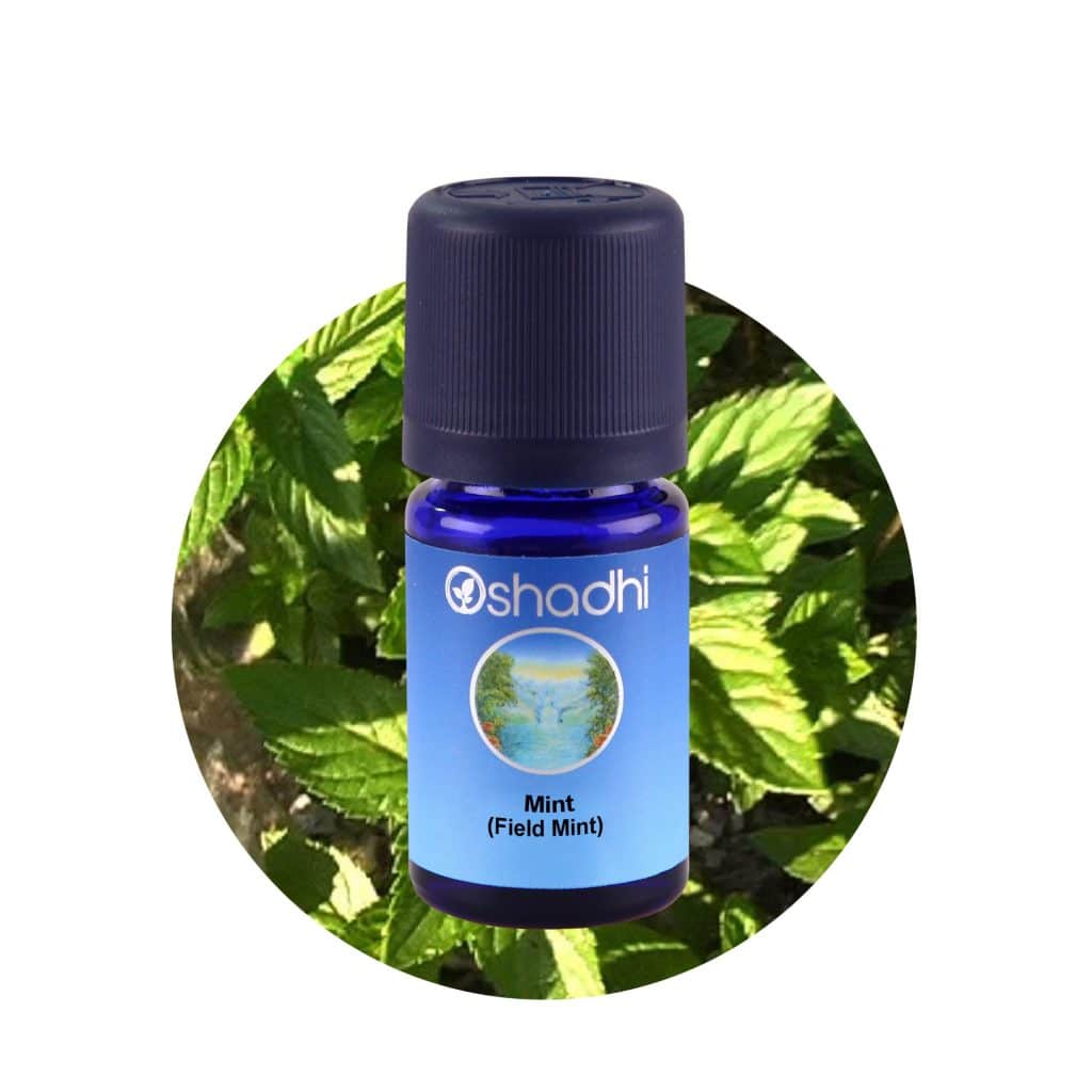 Metvica, japanska (Mentha arvensis) BIO eterično ulje Oshadhi 10ml