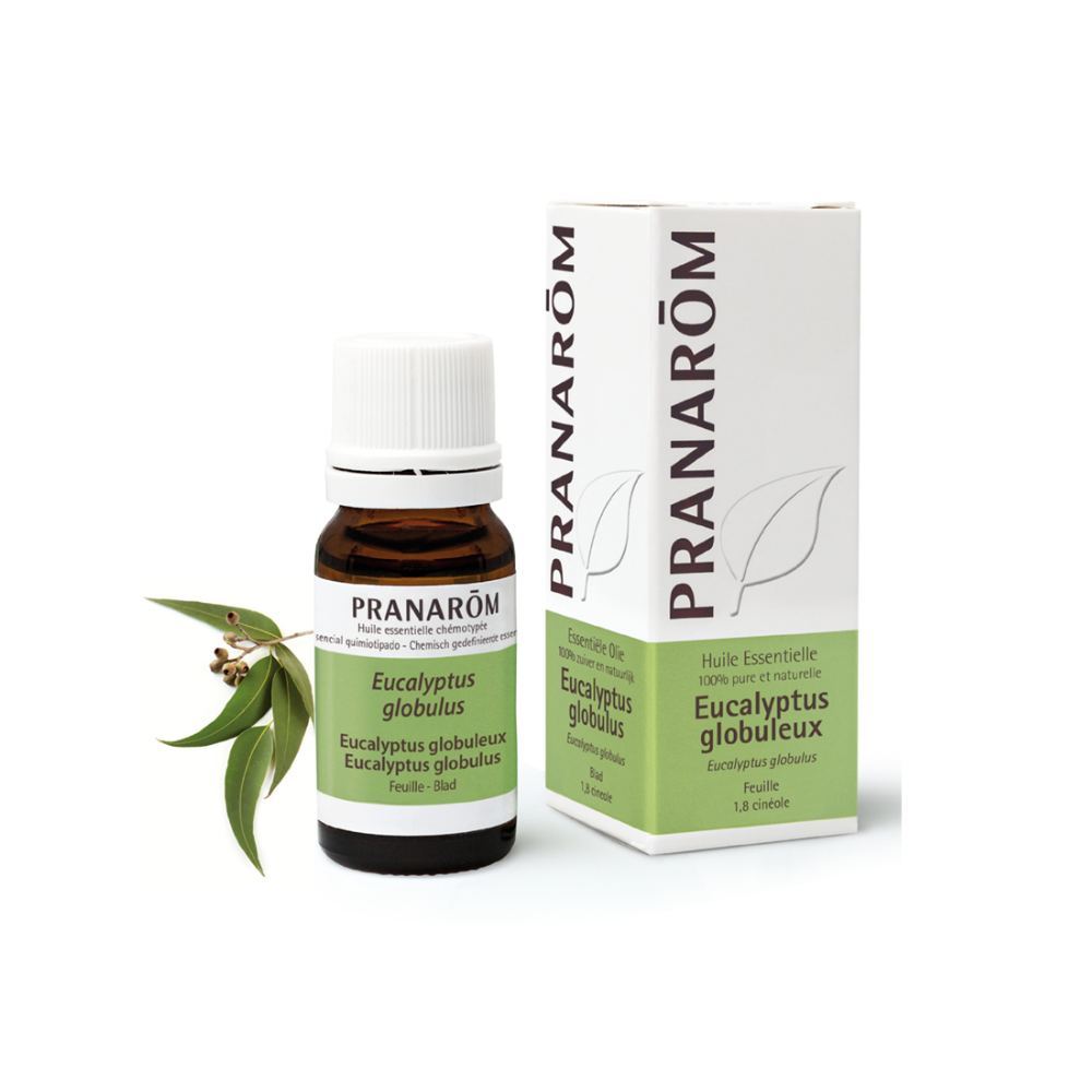 eterično ulje eukaliptusa