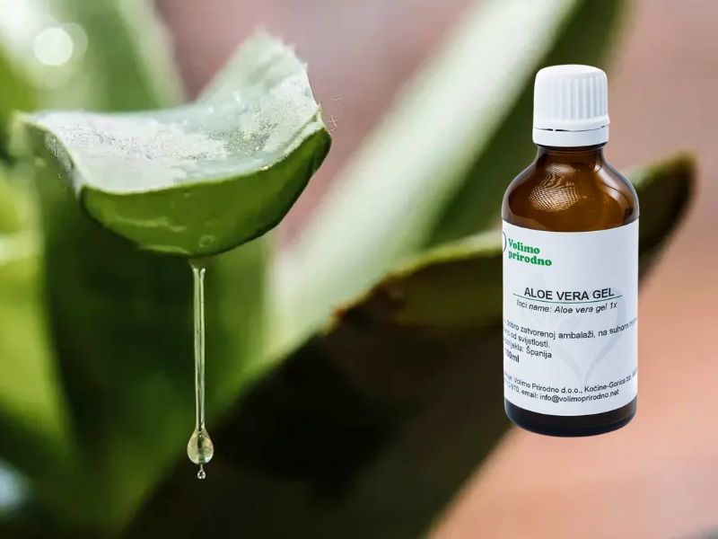 aloe vera