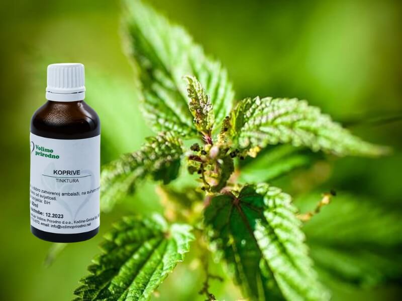 kopriva