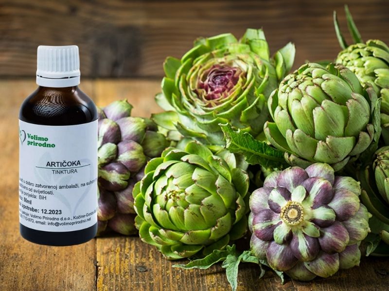 Artičoka